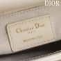 Mini Lady Dior Bag