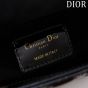 Mini Lady Dior Bag